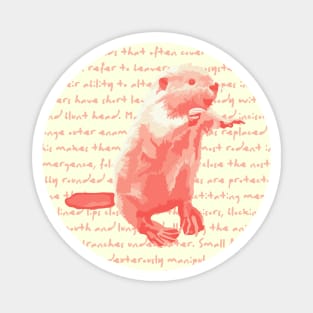 Peachy Beaver Info Magnet